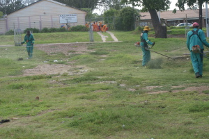 Cleaning Campaign 2015
